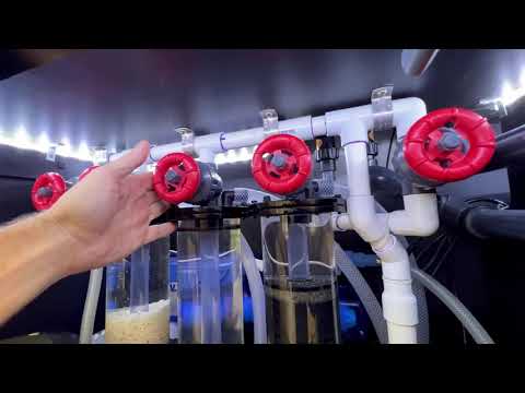 Red Sea Reefer 350 Setup