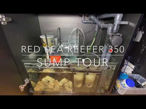 Red Sea Reefer 350: Sump Setup and Tour