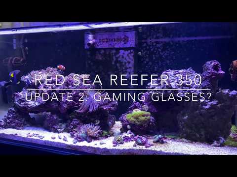 Red Sea Reefer 350 Update #2 “Gaming Glasses?”