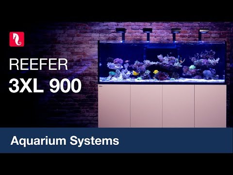 Red Sea REEFER 3XL 900 – A beast of a system