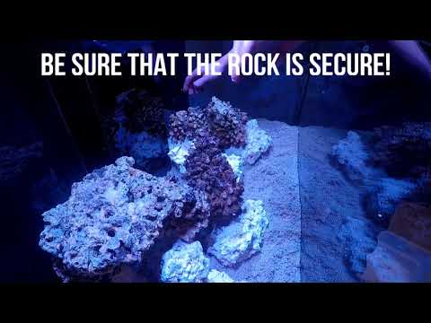 Red Sea Reefer 425 Deluxe Install!!