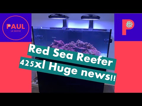 Red Sea Reefer 425 Xl Big News!! New Coral and Tank breakdown #reeftank #reeftankbuild