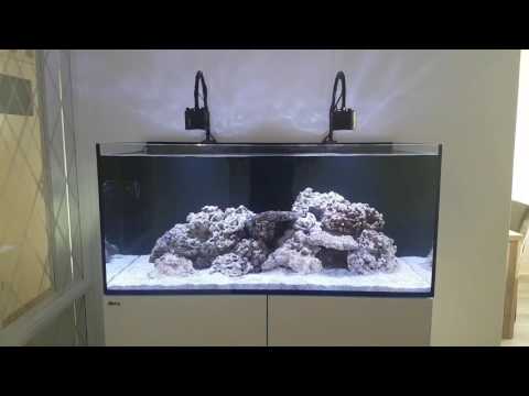 Red sea reefer 425xl basic setup. 4weeks after initial fill