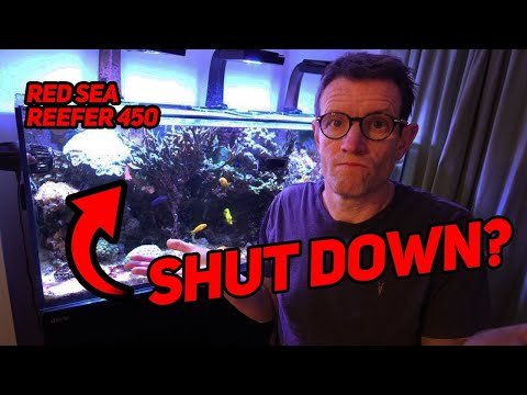 Red Sea Reefer 450: 6 years and shutdown