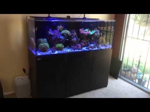 Red Sea Reefer 450