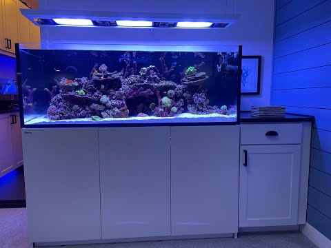 Red Sea Reefer 525 XL
