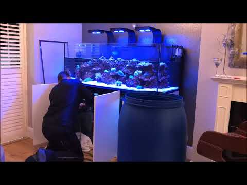 Red Sea Reefer 525xl 100 Litre Water Change