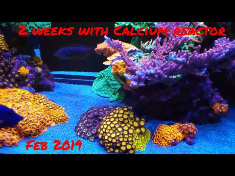 Red Sea Reefer 525XL Calcium Reactor 2 weeks running Feb 2019