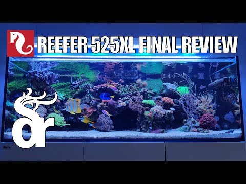 Red Sea Reefer 525XL Final Review | 2016-2019