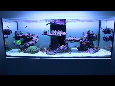 Red Sea Reefer 525xl FTS