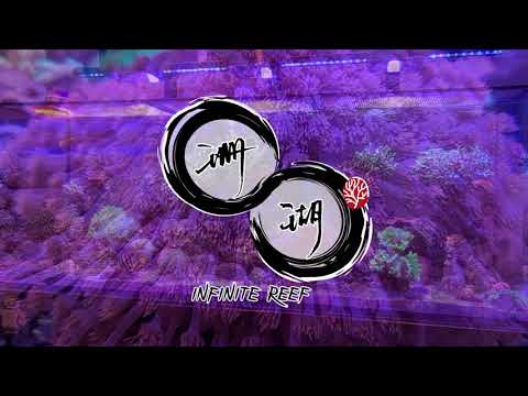 Red Sea Reefer 525XL Update | Space Invader Fragging
