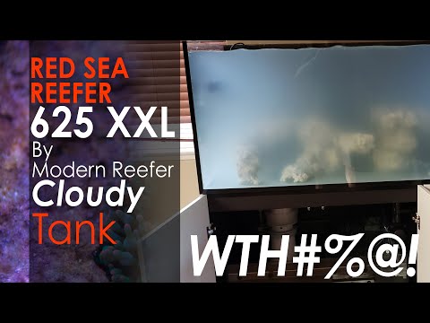 Red Sea Reefer 625 XXL Murky Cloudy Water