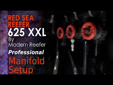 Red Sea Reefer 625 XXL Professional Simple Manifold Setup – You can build it yourself!