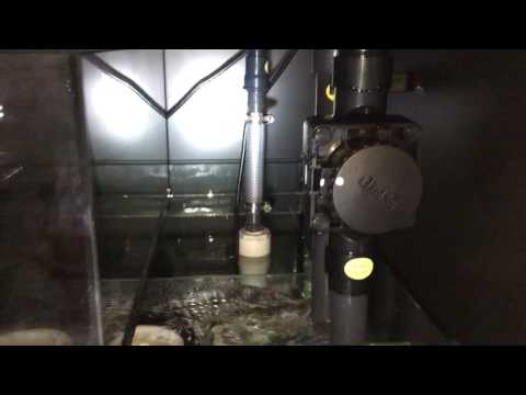 red Sea reefer 750 xxl freshwater leak test (update 2)