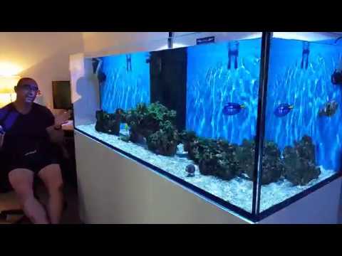 Red Sea REEFER 750 XXL. It's all gone WRONG AGAIN ! And another tank in the house!