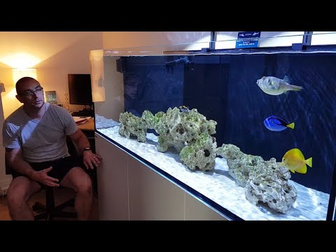 Red Sea REEFER 750 XXL. **NO MORE CLEANING FILTER SOCKS**