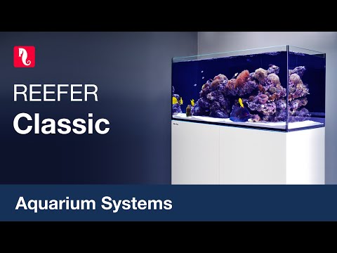 Red Sea  REEFER™  Aquarium Systems – Rimless Reef Ready Marine Systems for advanced hobbyists