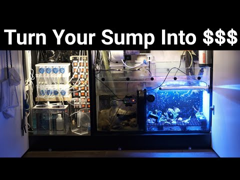 Red Sea Reefer Frag Tank Sump Mod