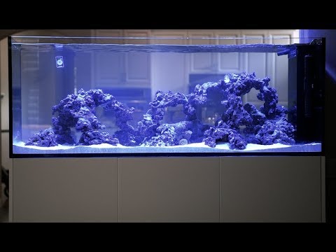 Red Sea REEFER Peninsula 650 Custom structure