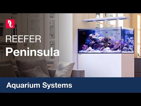 Red Sea REEFER™ Peninsula