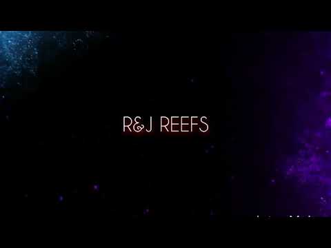 Red Sea Reefer Plumbing Update