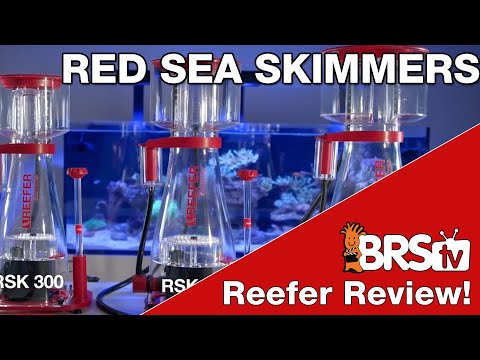 Red Sea Reefer Protein Skimmers | BRStv Saltwater Tank Gear Reviews