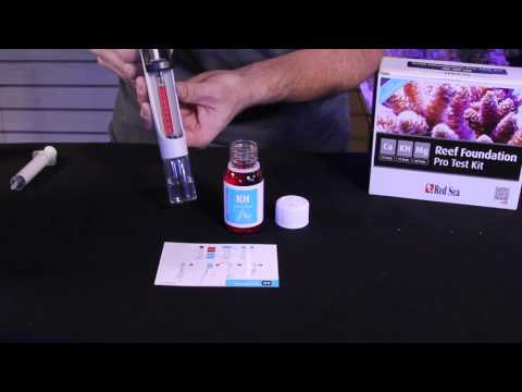 Red Sea Reefer pt10: Calcium, Alkalinity, Magnesium