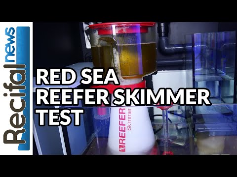 Red Sea Reefer Skimmer : Test et avis