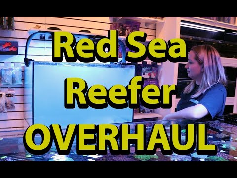 Red Sea Reefer Tank Overhaul !!