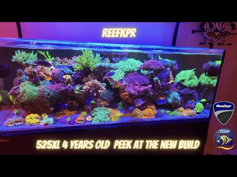 Red Sea Reefer turned 4 (April 23)  and quick peek at the new build. #reefkpr #teammd #coralvue