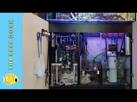 Red Sea Reefer v3 Sump Tour/Review