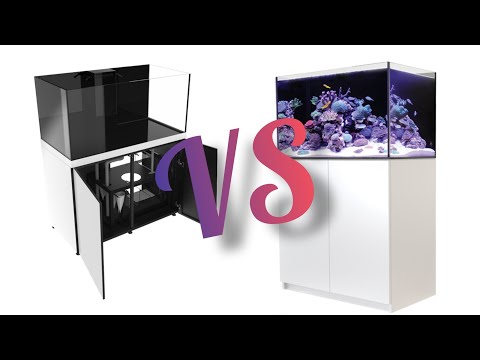 Red Sea Reefer VS. Pro Clear Pro Star