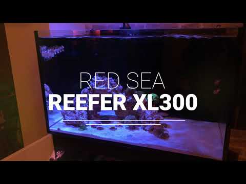 Red Sea Reefer XL 300 // Reef it Simple