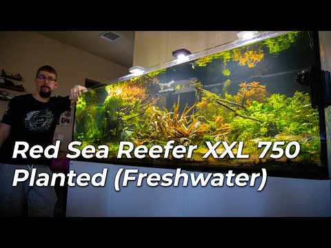 Red Sea Reefer XXL 750 Freshwater Planted Full Walkthrough
