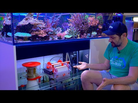 Red Sea ReefMat Review – the First 'Smart' Auto Filter Roll is a Winner