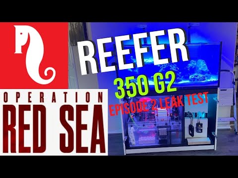 RedSea Reefer 350 G2 Ep. 2
