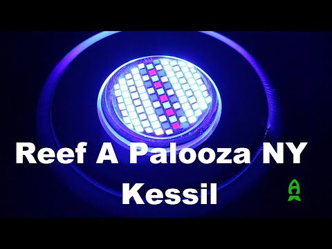 Reef A Palooza New York – Kessil
