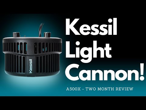 Reef LED Cannon! 2 Months of Kessil A500x
