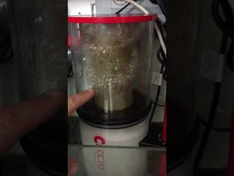 Reef Octopus 150-S