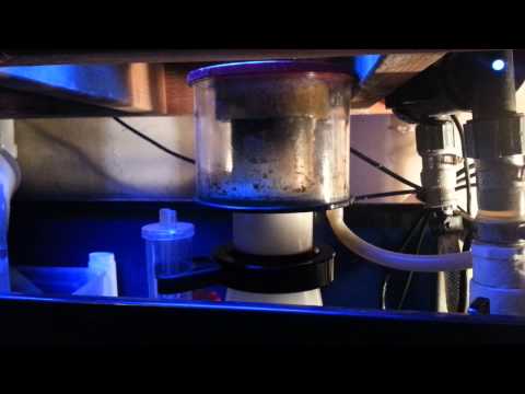 Reef Octopus 150 update