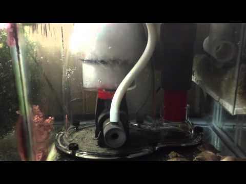 Reef octopus 152-S skimmer