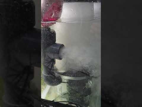 Reef octopus 225int microbubbles