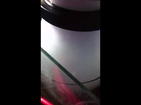 Reef octopus 5000 int