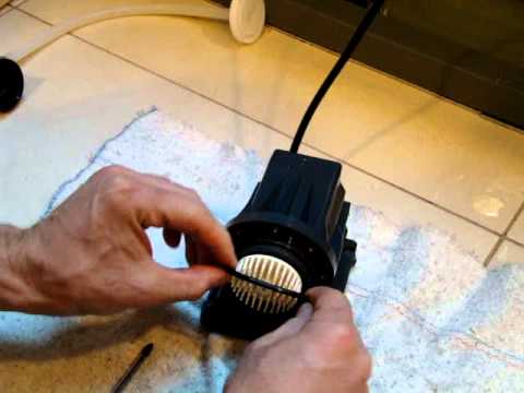 Reef Octopus BB3000 pump disassembly