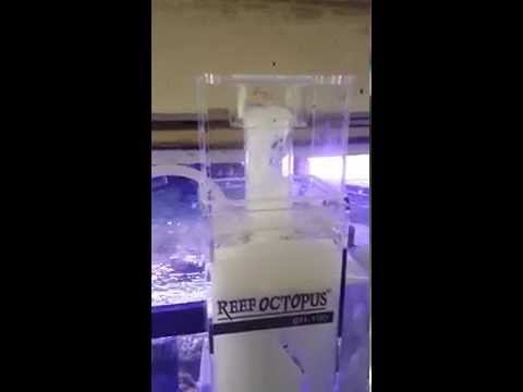 Reef Octopus BH-100 Protein Skimmer Problems Day 5