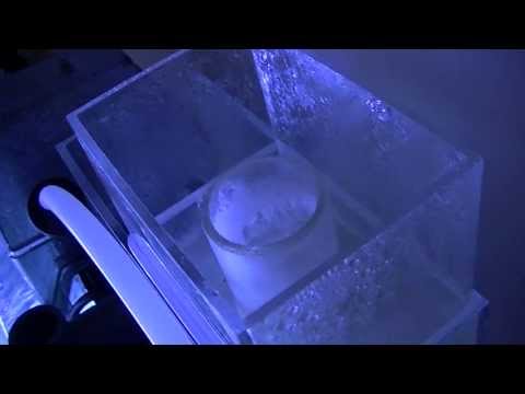 reef octopus bh 100 protein skimmer review after 7 days