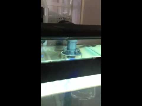 Reef Octopus Bh-1000