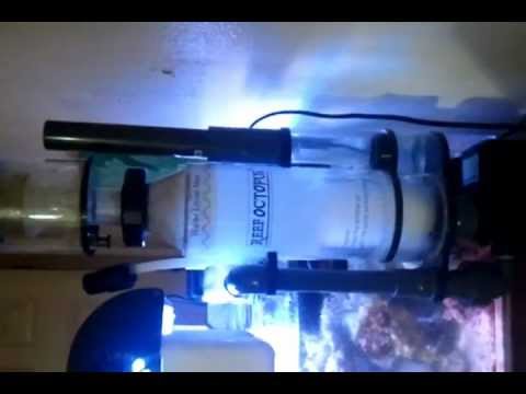 reef octopus BH 90 just setup