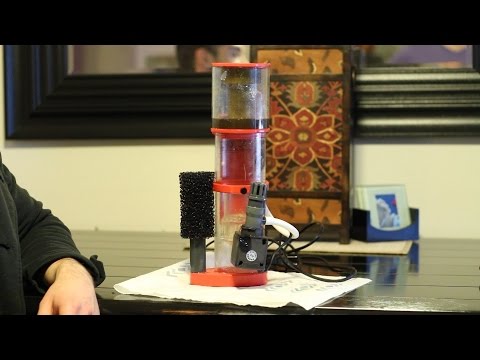 Reef Octopus BH50 protein skimmer REVIEW