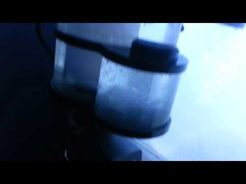 Reef Octopus BH90